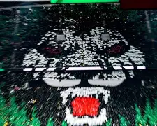 C7娱乐app-北京国安取胜无悬念