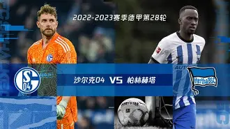 柏林赫塔vs汉堡预测