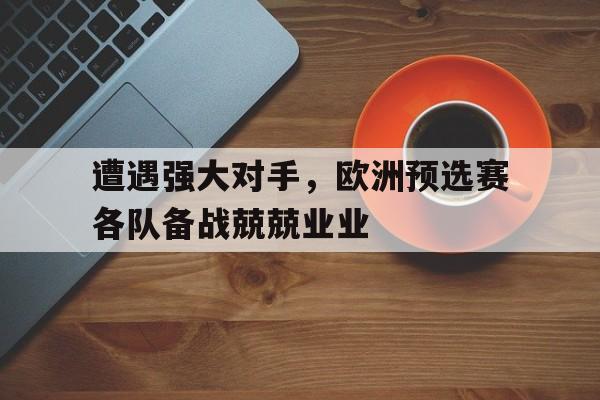 关于遭遇强大对手，欧洲预选赛各队备战兢兢业业的信息